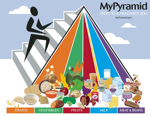 Revised guidelines help to personalize the food pyramid