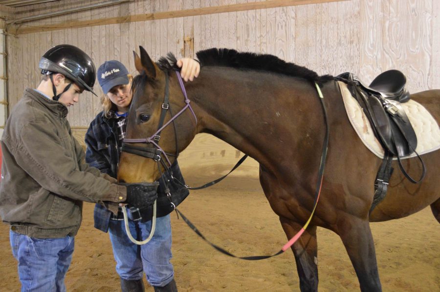 Founded by Carrie Capes and Justin Yahnig in March of 2012 the nonprofit organization, HorsePower, was created as a place for therapeutic horseback riding lessons to children and adults with disabilities.