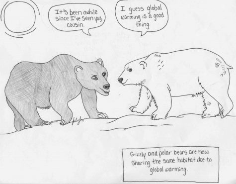 Overdramatic or nonchalant: two views debating over irreversible environmental damages