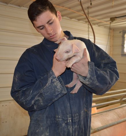 A day in the life of a “farm boy”