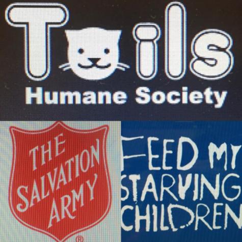 Volunteering in the Kaneland community