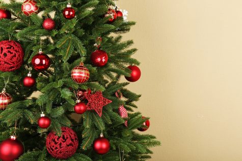 December 25: Are you a Grinch or a Who?