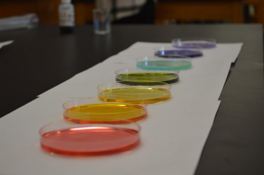 In the AP chemistry class at Kaneland High School, students have been given many different chemicals to try to create a rainbow of solutions. This was a timed project so the class had to race but also use communication.