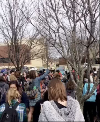National school walkouts: how Kaneland compares