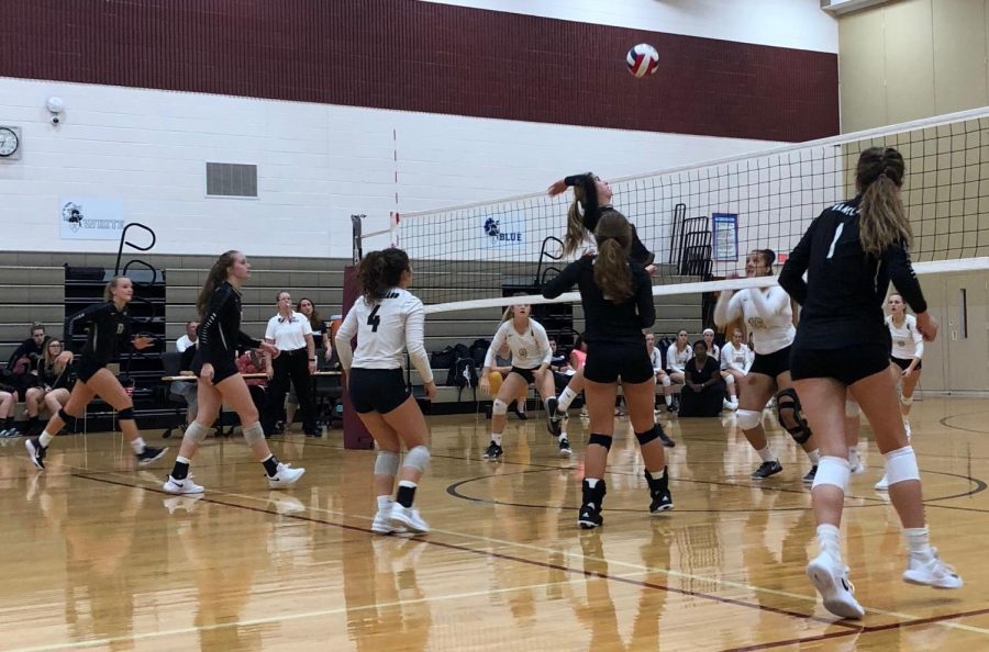 Volleyball Defeats the Sycamore Spartans