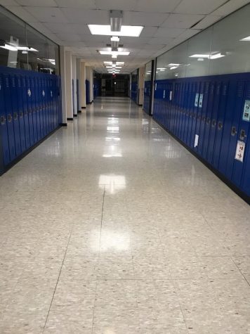 How have schools from the surrounding areas handled Coronavirus?