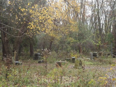 Bachelors Grove Cemetery in Midlothian, IL. With multiple reports of paranormal experiences there, the cemetery is said to be haunted.