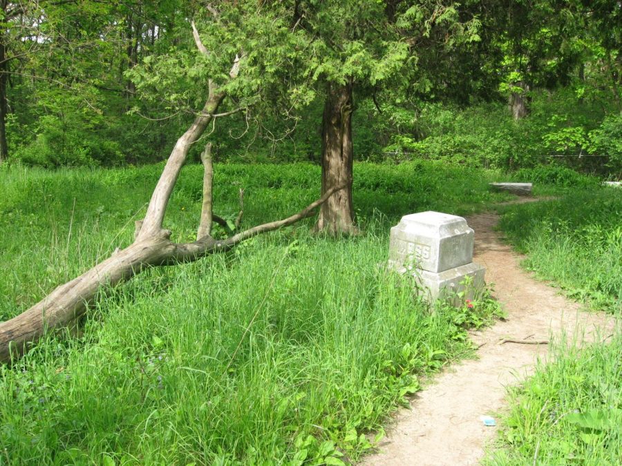 The Mysteries Surrounding Bachelor’s Grove Cemetery – Kaneland Krier