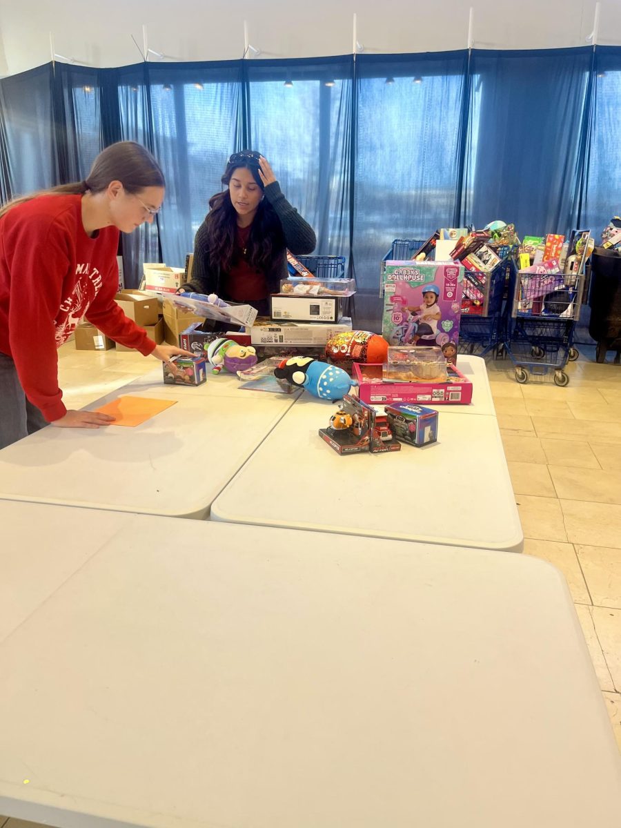 Senior Stacy Layton and junior Isabel Aguilera sort Toys for Tots donations into categories including games, toys, stuffed animals and more. The NHS volunteers then sorted the toys by age group and gender. 