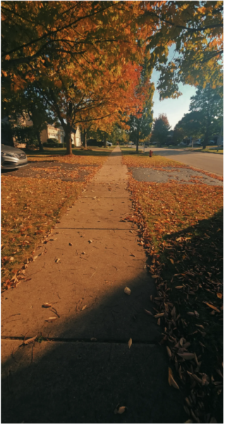 Falling for fall: This year’s coziest trends