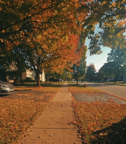 Falling for fall: This year’s coziest trends